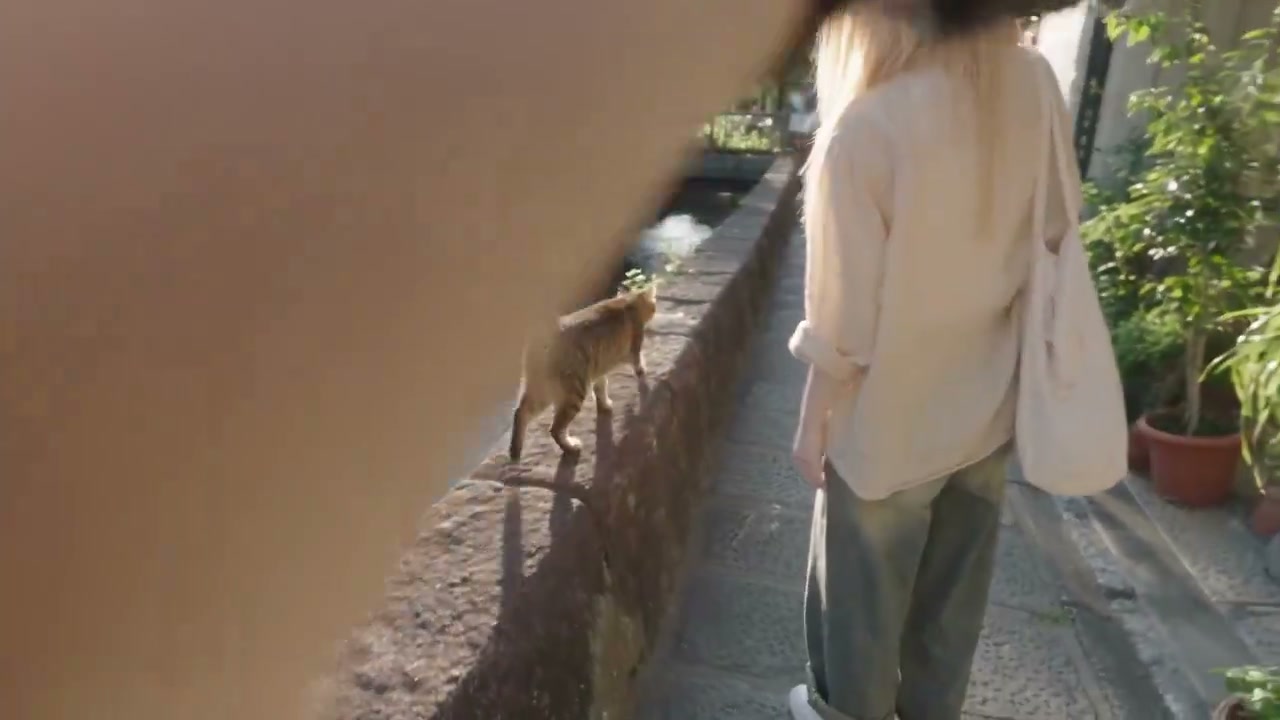 Kyoto Solo Date Walk