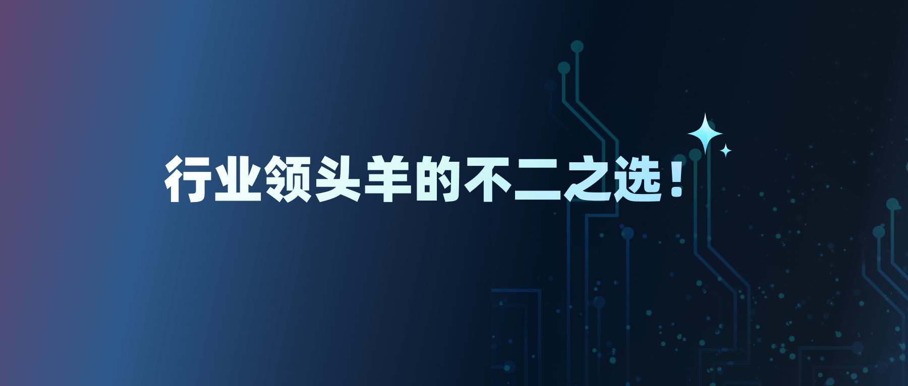 行业领头羊的不二之选！极米科技、麦瑞克、影石Insta360携手Shulex 共创全球卓越客户体验